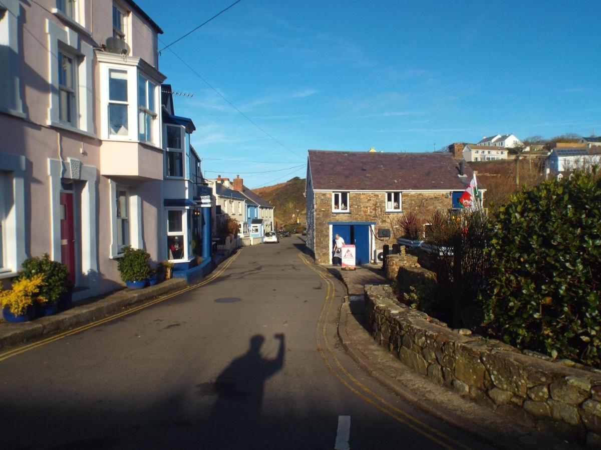 Pendyffryn Manor Bed & Breakfast Little Haven Eksteriør bilde